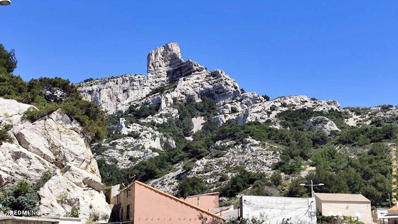 MARSEILLE - CALLELONGUE - 17.04.2024 - 28.jpg